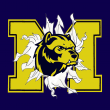 TS043 Michigan Wolverine